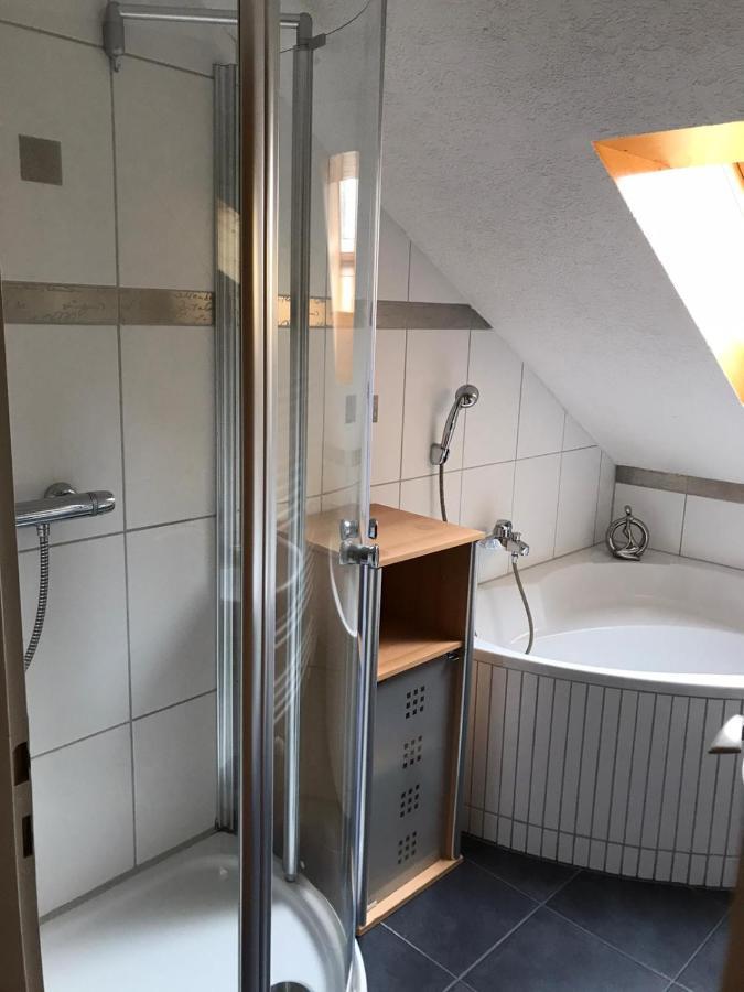 Apartment Haus Levi Neukirch (Black Forest)