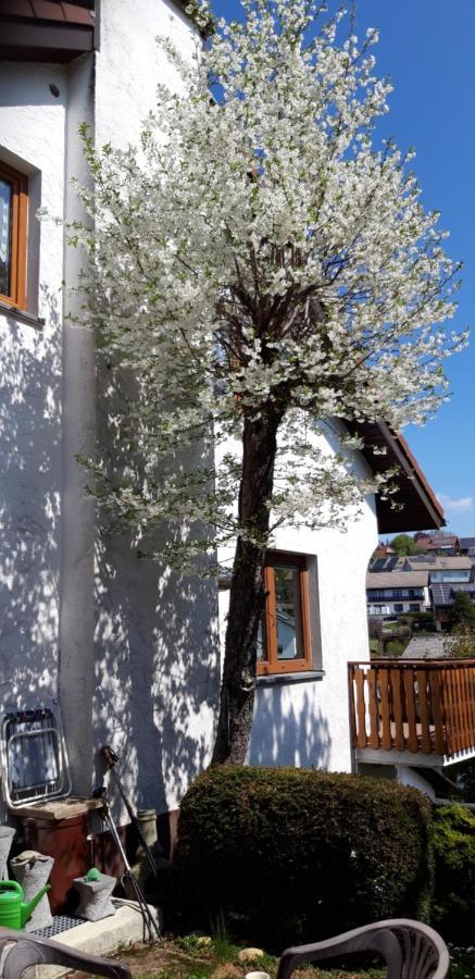 Haus Levi Apartment Neukirch (Black Forest)